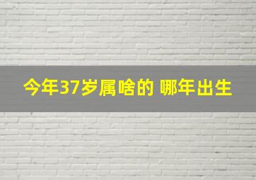 今年37岁属啥的 哪年出生